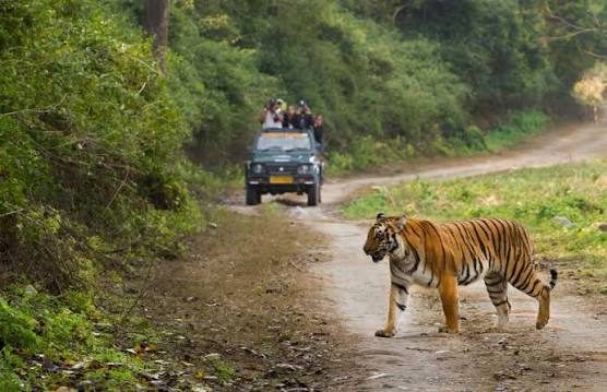 Satkosia