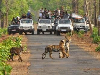 Satkosia