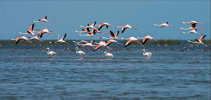 Chilika Lake