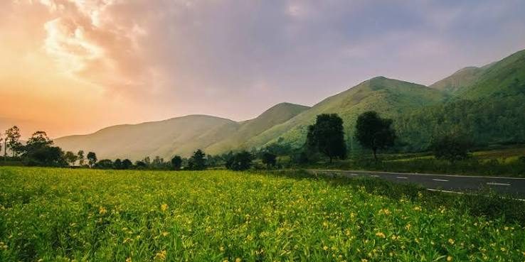 Koraput